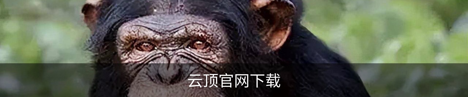 云顶官网下载